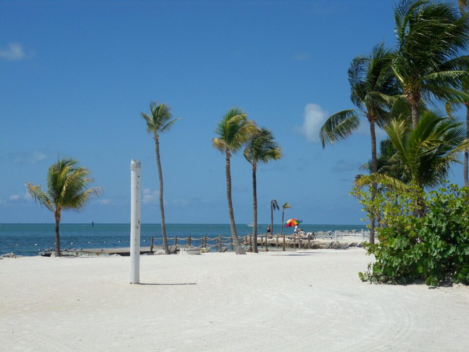 Coconut trees mar blue sky