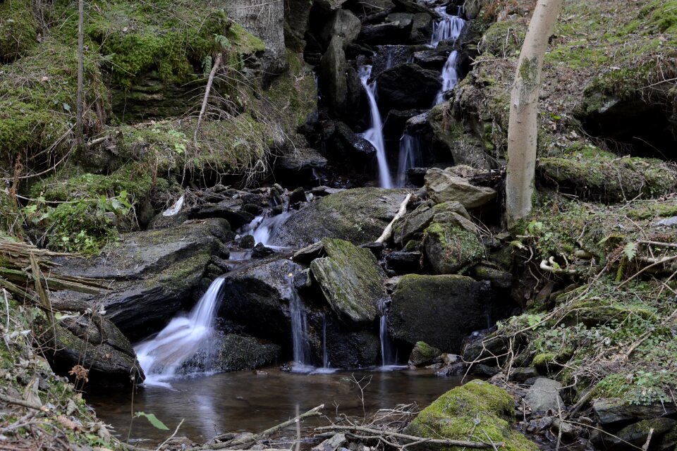 Landscape bach nature
