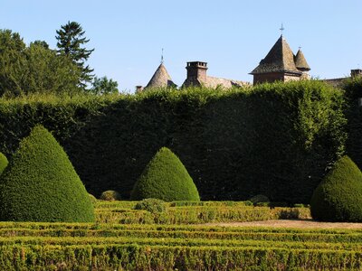 Boxwood beech hedges