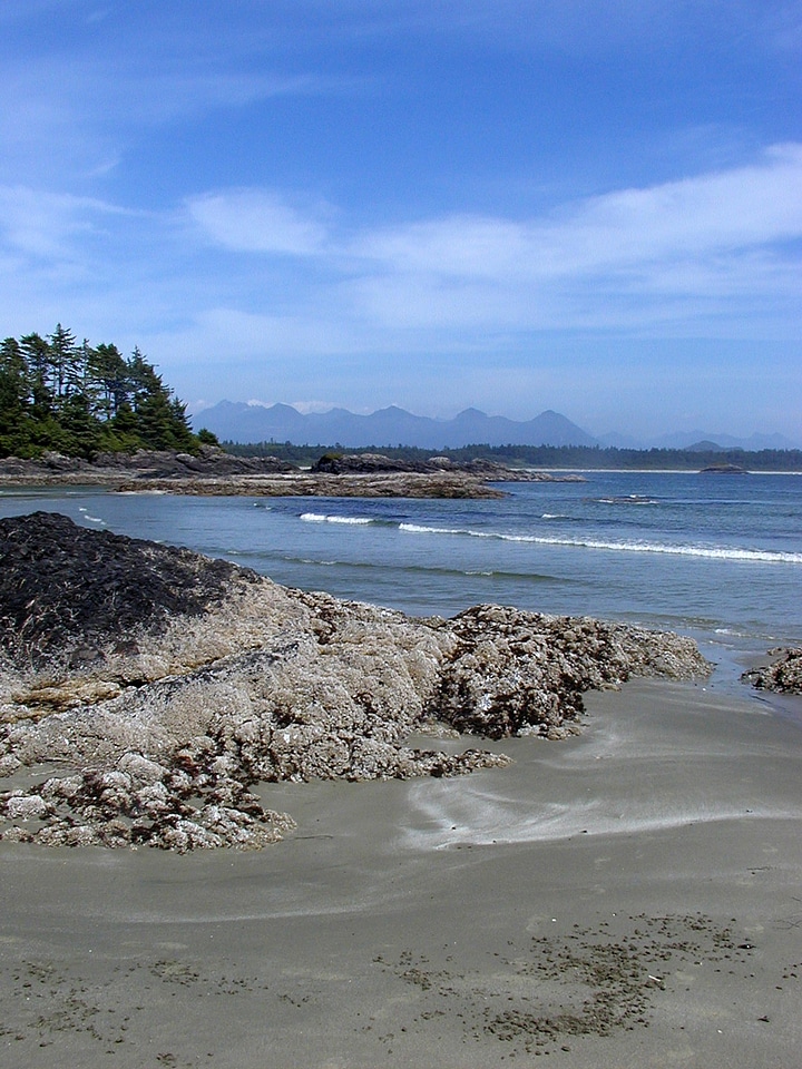 Tofino long beach shoreline