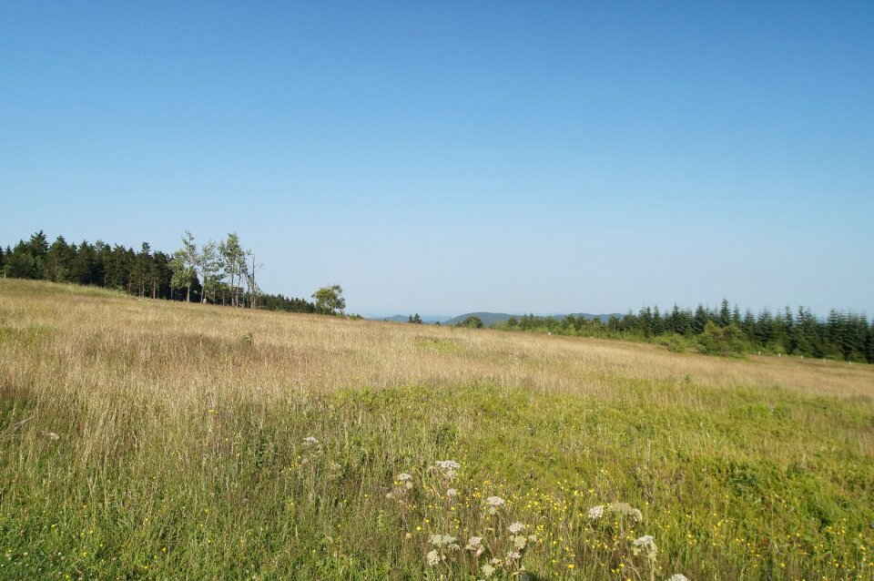 Winterberg kahler-asten meadow