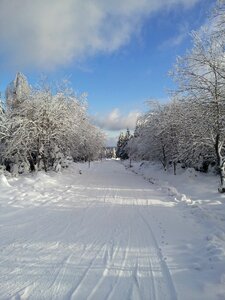 Snow lane sunny winter panorama photo