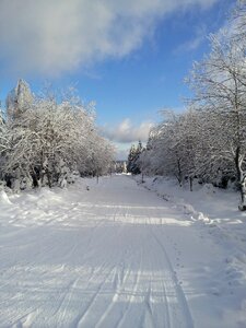 Snow lane sunny winter panorama
