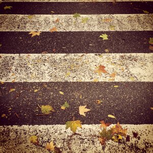 Dry yellow street
