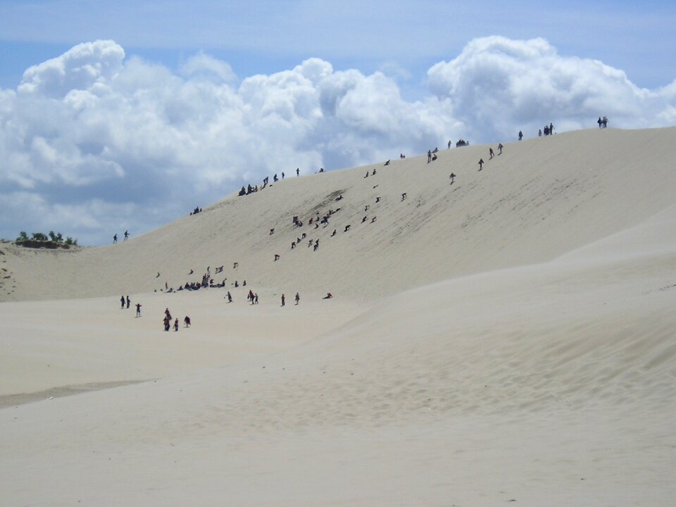 Sand dune nature baltic sea