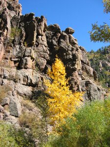 Yellow trail backpack