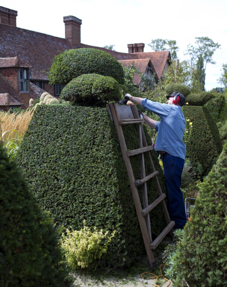 Yew great dixter east sussex