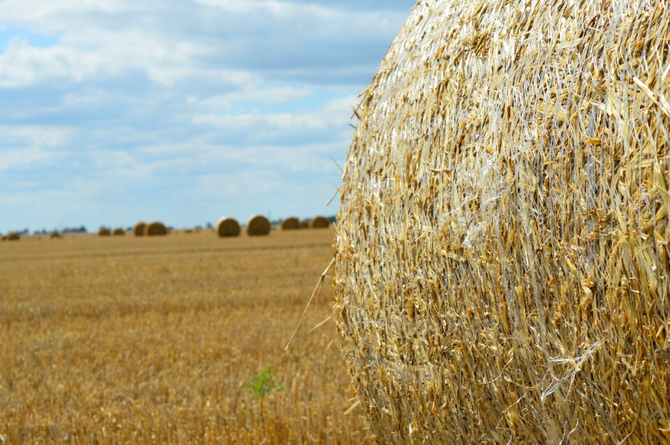 Harvesting straw bale