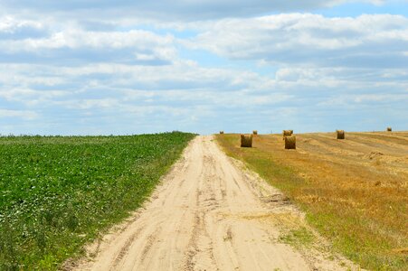 Harvesting straw bale photo