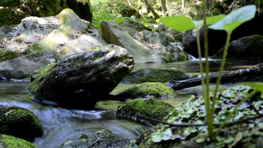 Teigitsch landscape nature