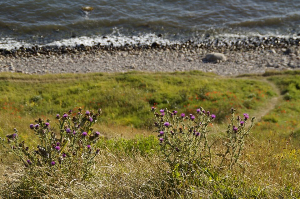 Sloping sweden baltic sea