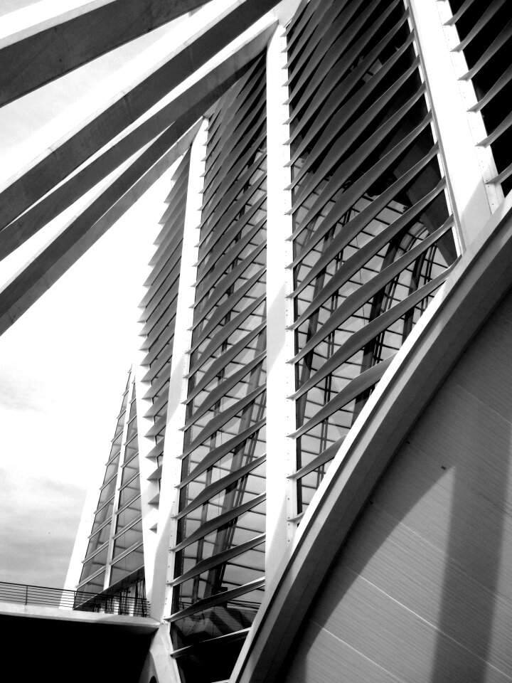 Calatrava valencia spain