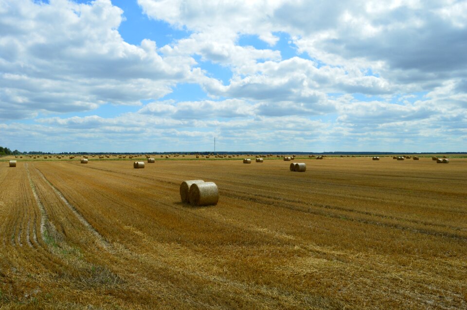 Harvesting straw bale
