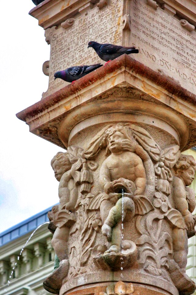 Pillar bird nature