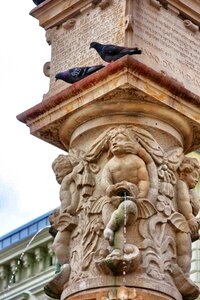 Pillar bird nature
