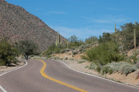 Desert cactus mountain
