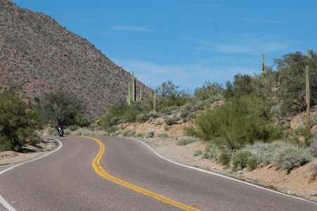 Desert cactus mountain photo