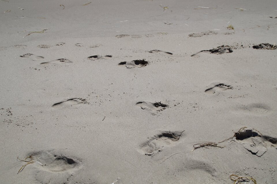 Beach footprint tracks in the sand photo