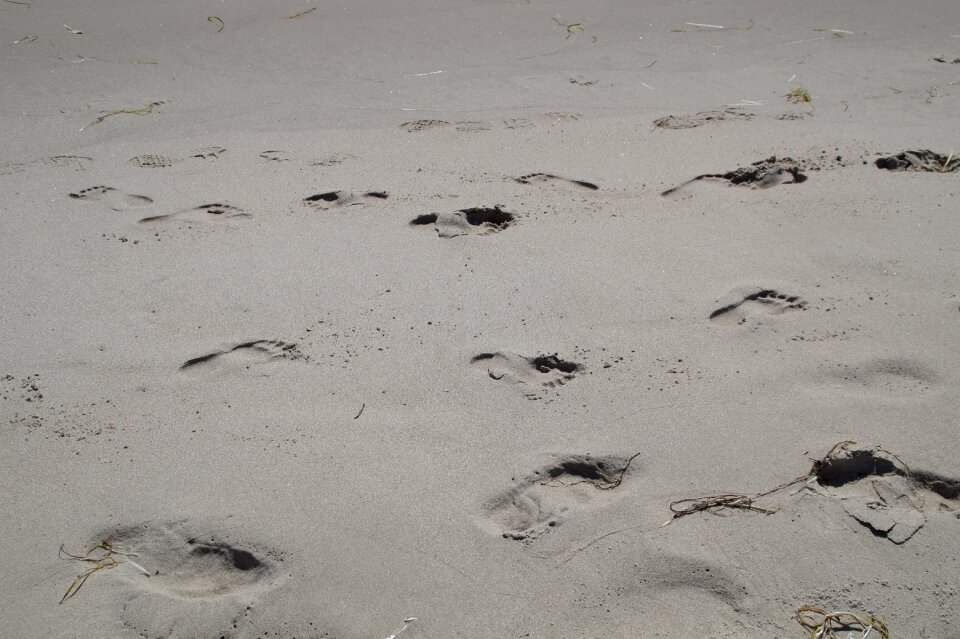 Beach footprint tracks in the sand