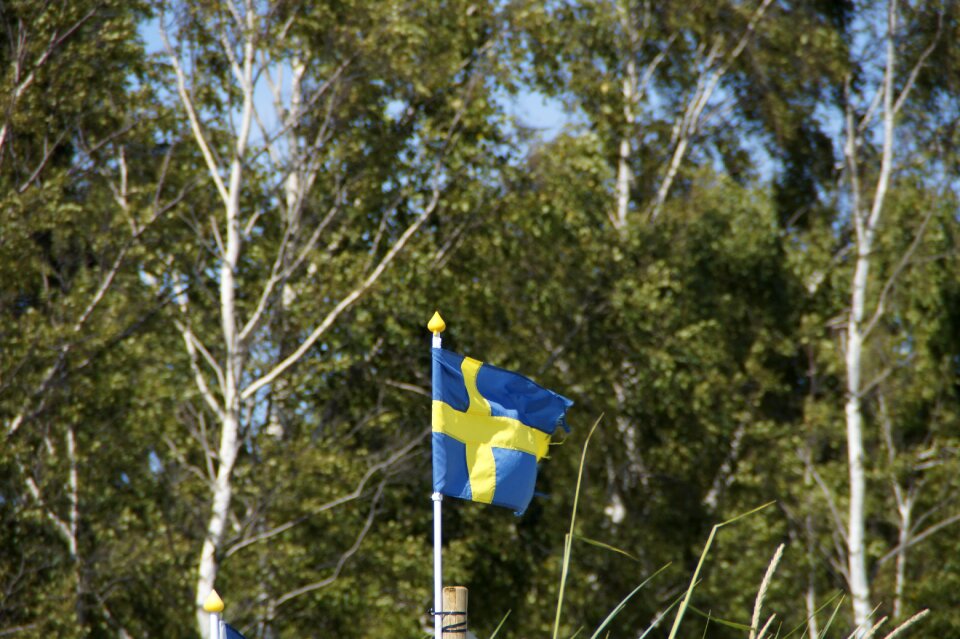Flag swedish swedish flag