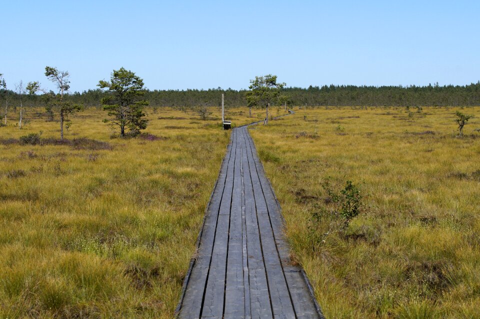 Sweden nature nature reserve