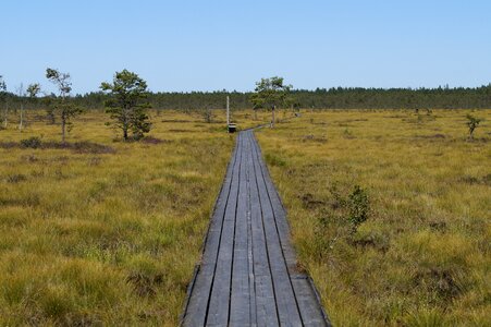 Sweden nature nature reserve