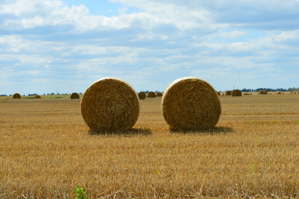 Harvesting straw bale