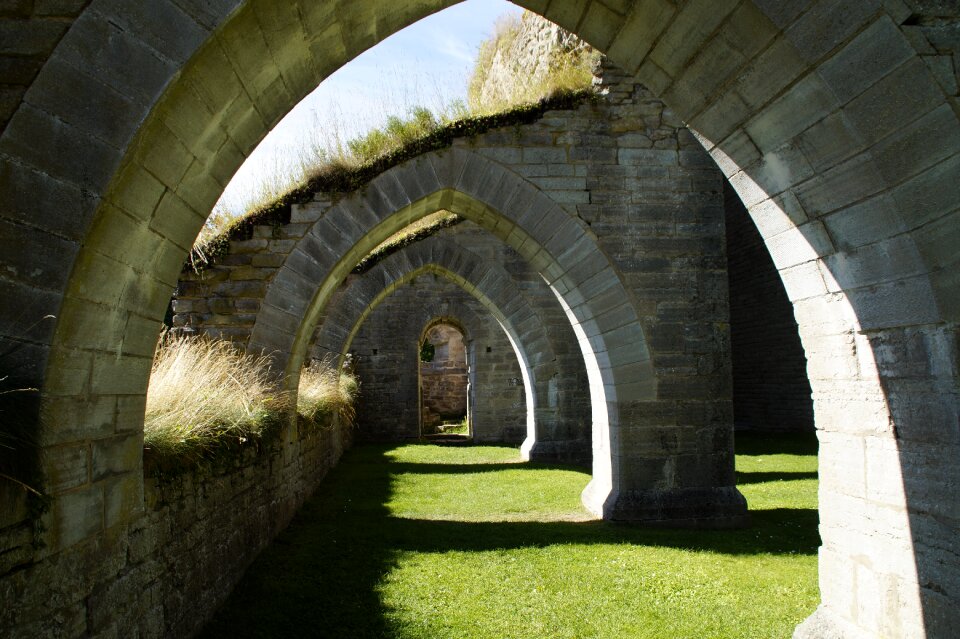 Alvastra ruin monastery
