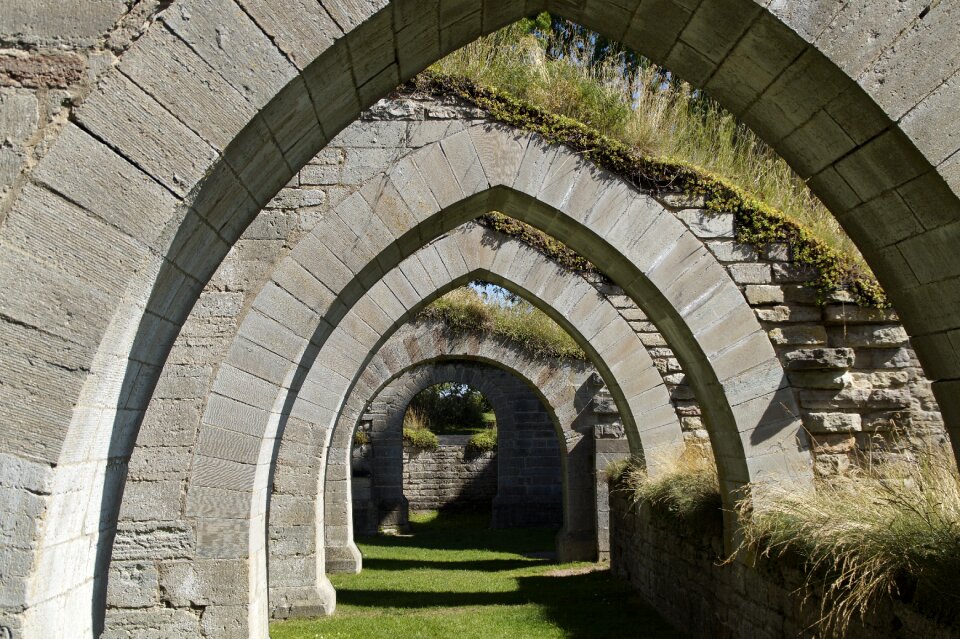 Alvastra ruin monastery