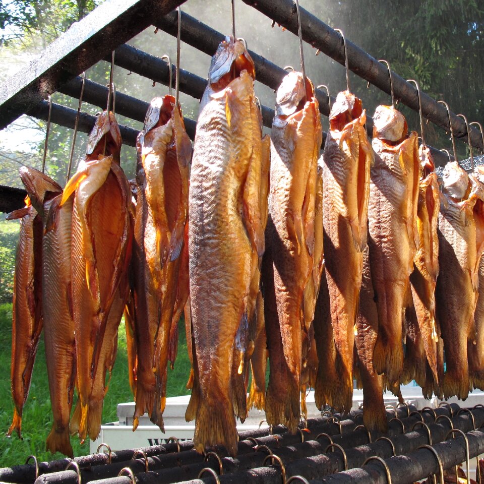 Smoked fish char fischraeucherei
