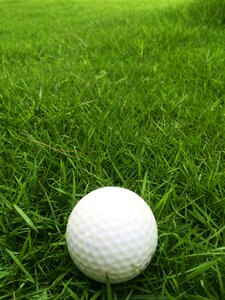Green green golf
