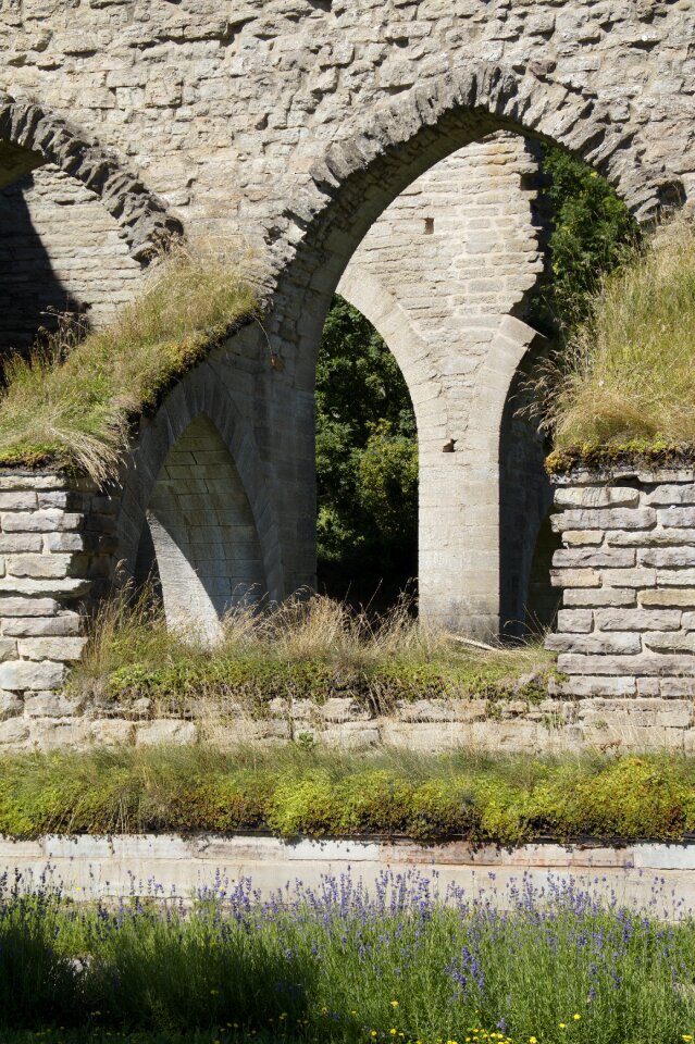 Alvastra ruin monastery