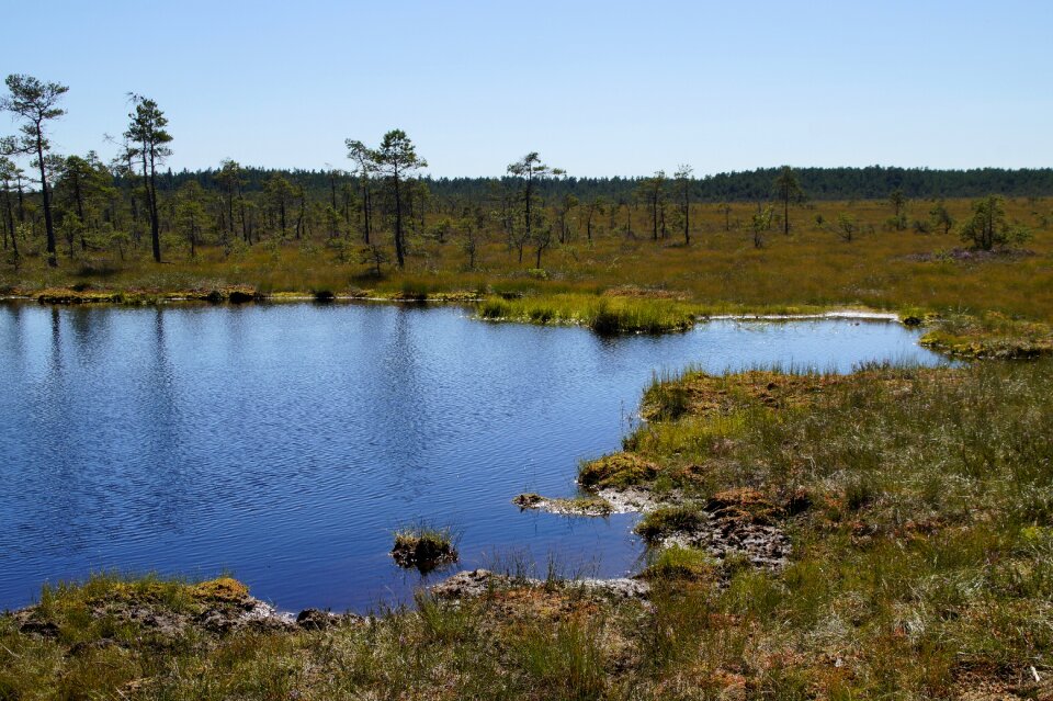 Wetland nature conservation nature reserve