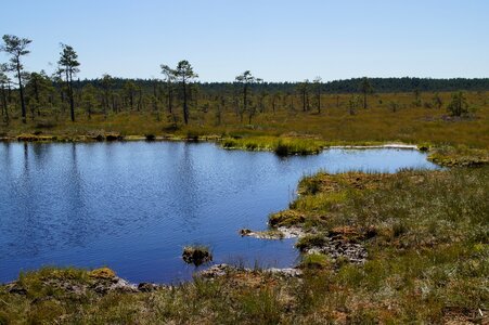 Wetland nature conservation nature reserve