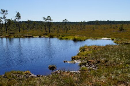 Wetland nature conservation nature reserve photo