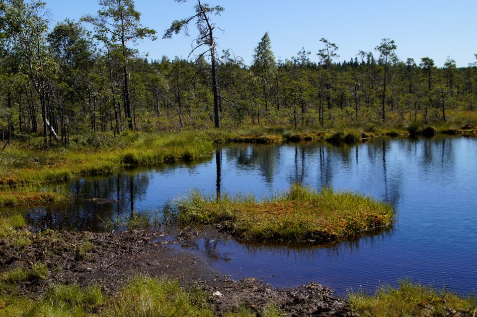 Wetland nature conservation nature reserve