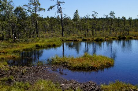 Wetland nature conservation nature reserve