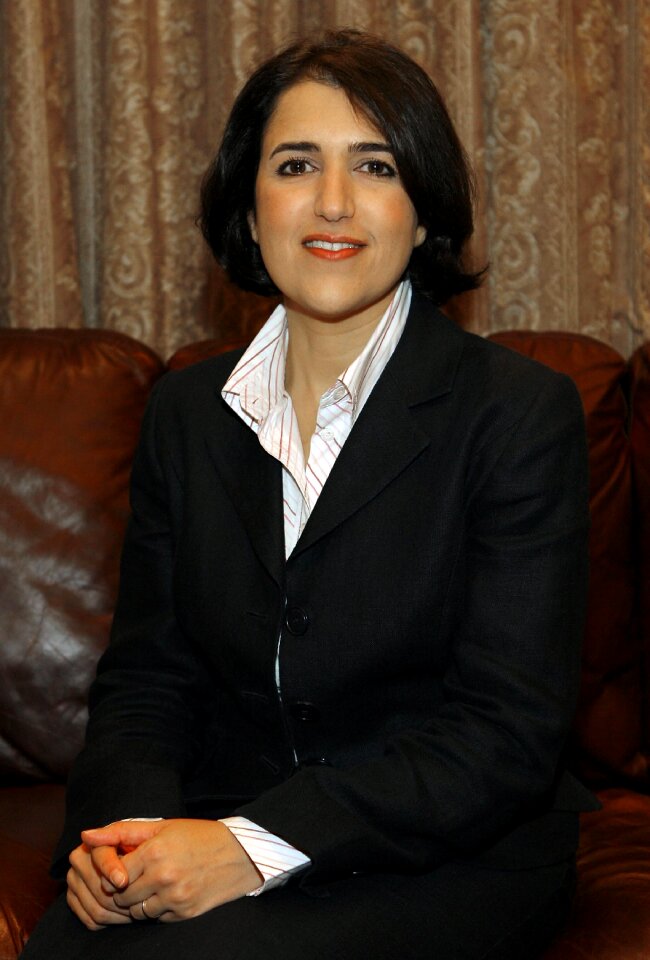 Government representative politician