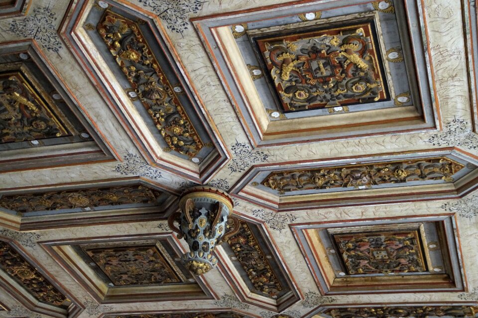 Wooden ceiling paneled noble