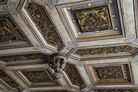 Wooden ceiling paneled noble