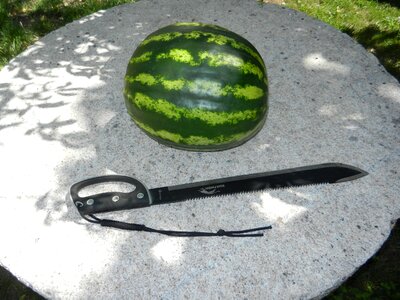 Watermelon fruit sword