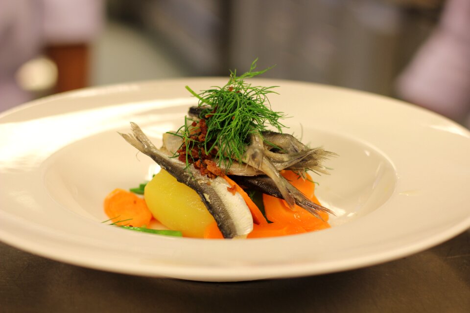 Baltic herring food Free photos