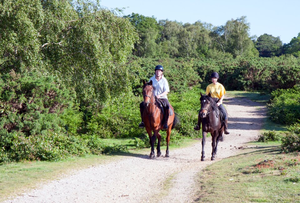 Ponies riding horse back riding photo