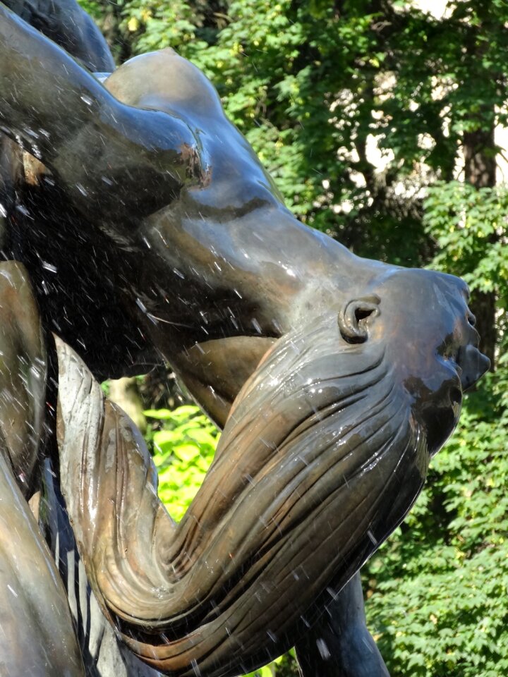 Sculpture statue water
