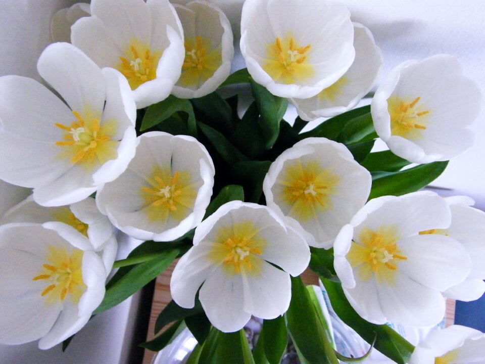 Blossom fresh bouquet