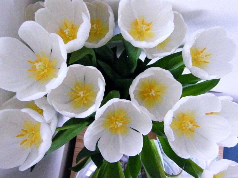 Blossom fresh bouquet photo