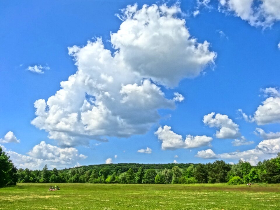 Nature meadow summer