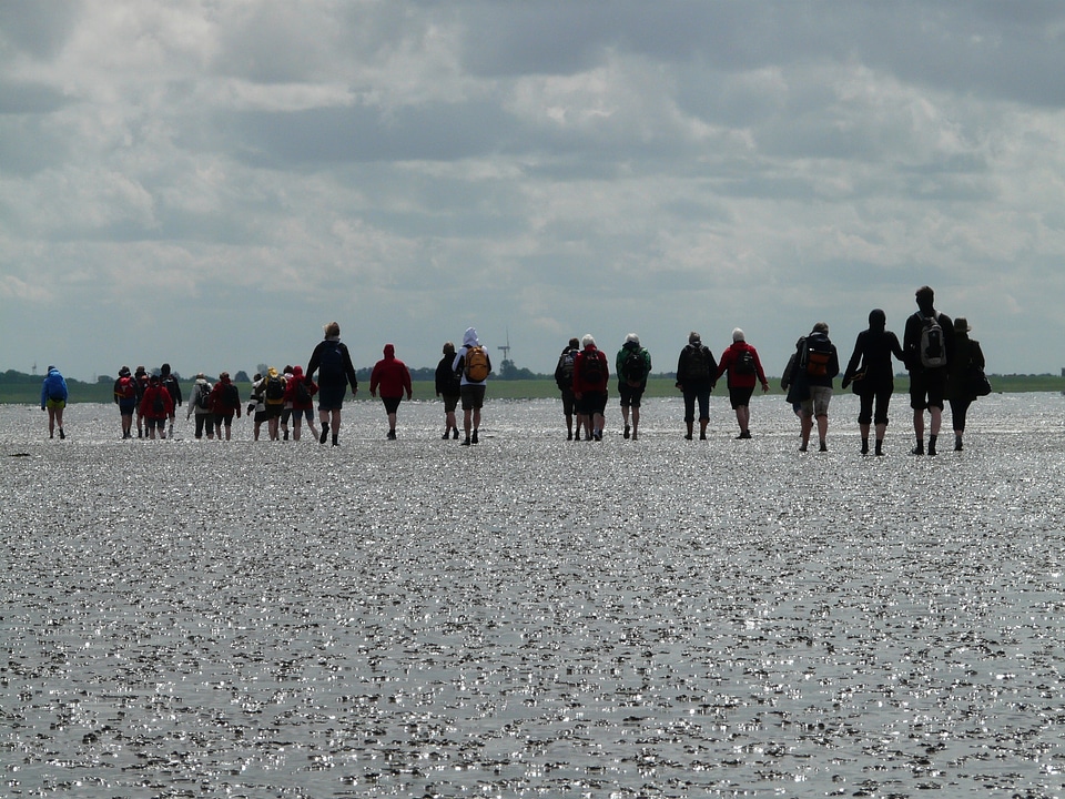 Wadden sea ford personal