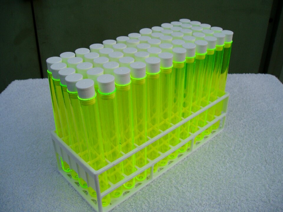 Test tubes chemistry lab
