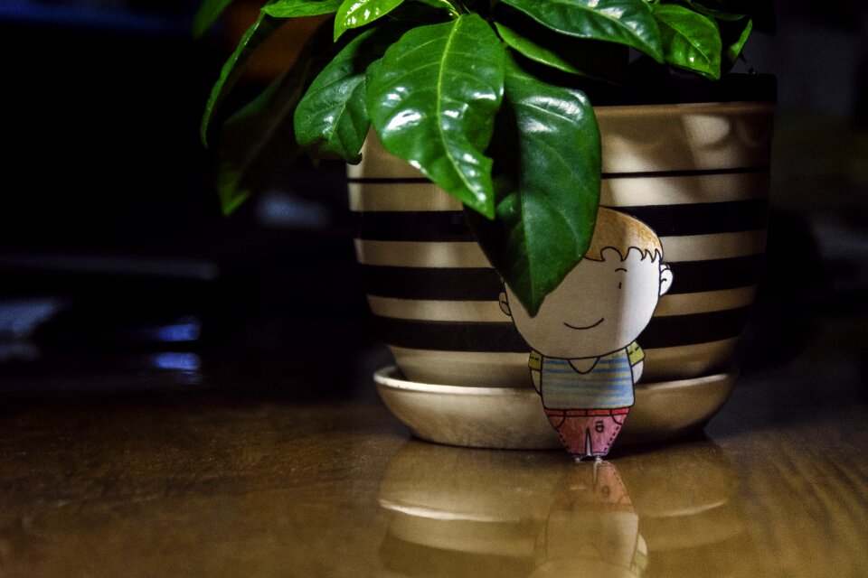 Plant desktop leaf